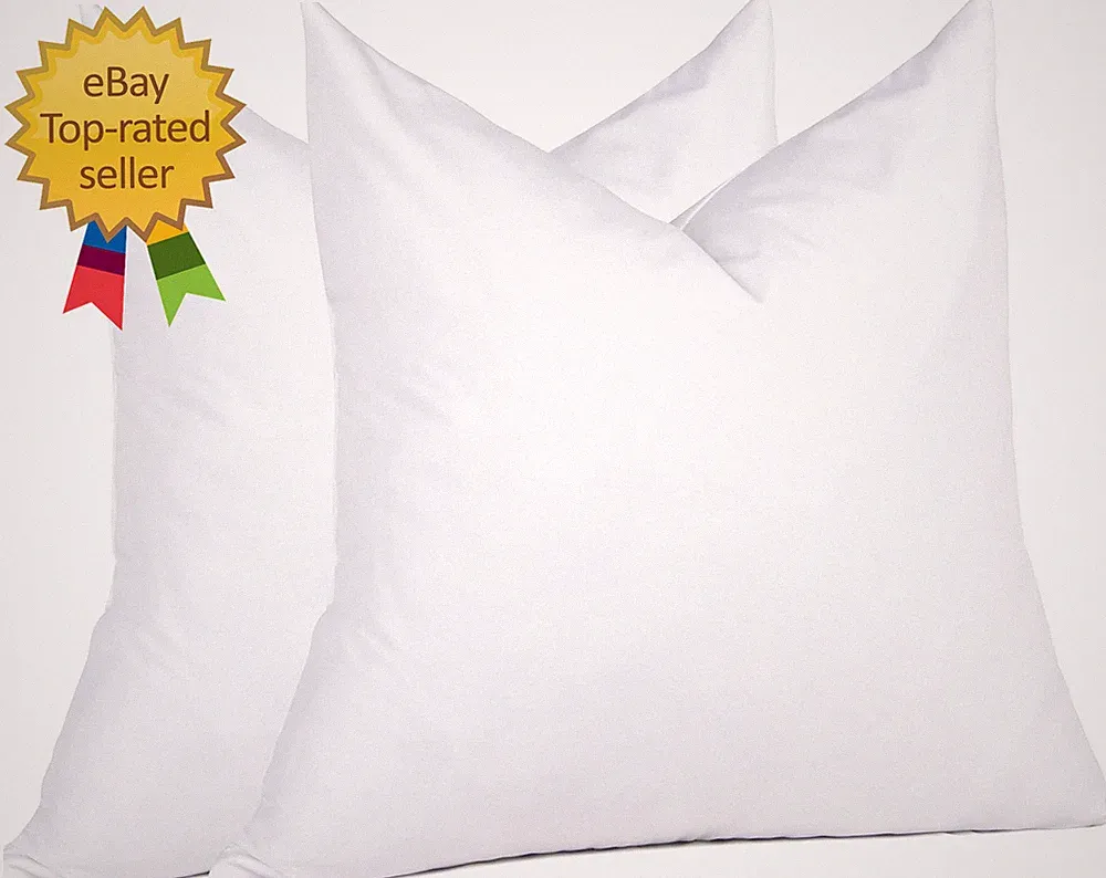 ® 18 X 18 Decorative Feather down Throw Pillow Inserts (Set of 2 White) for Sofa