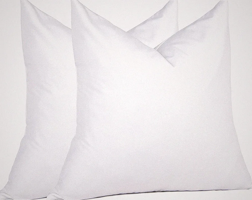 ® Natural Feather down Throw Pillow Inserts 20 X 20 (Set of 2, White), Décor Pil