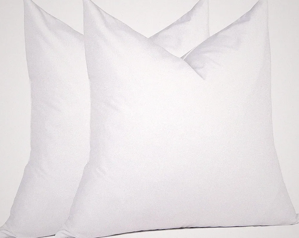Natural Feather Down Throw Pillow Inserts 20 x 20 Set Of 2 White White Office